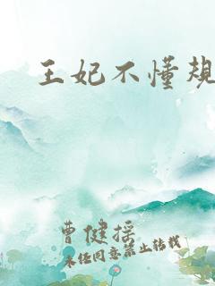 王妃不懂规矩