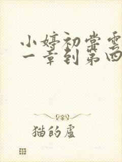 小婷初尝云雨第一章到第四章