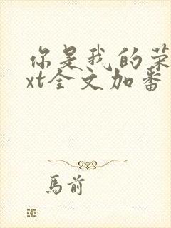 你是我的荣耀txt全文加番外