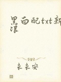 黑白配txt新浪