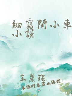 细写开小车车的小说