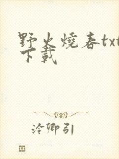 野火烧春txt下载