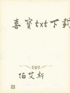 喜宝txt下载