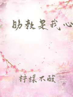助教是我心尖宠