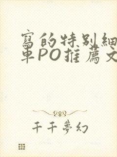 写的特别细的开车PO推荐文多人