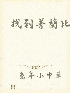 找到普兰比尔德