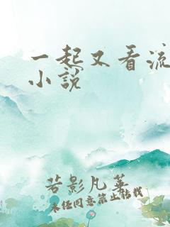 一起又看流星雨小说