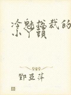 冷魅总裁的纯纯小丫头