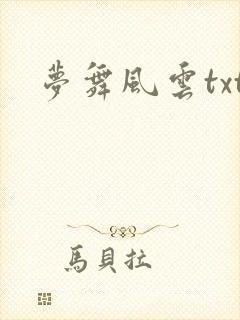 梦舞风云txt