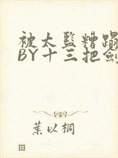 被太监糟蹋之后BY十三把剑