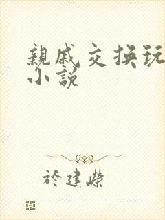 亲戚交换玩美妇小说