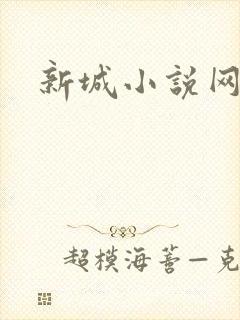 新城小说网