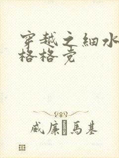 穿越之细水长流格格党