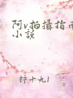 阿v拍摄指南说小说