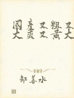 国产又粗又猛又大爽又黄大爷