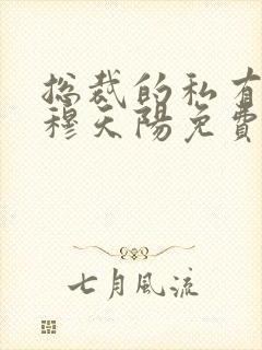 总裁的私有宝贝穆天阳免费