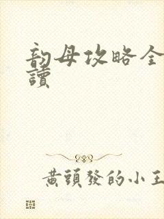 韵母攻略全文阅读