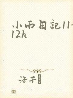 小雨日记11-12h