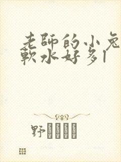 老师的小兔子好软水好多l