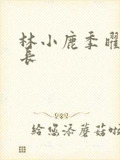 林小鹿季曜珉机长