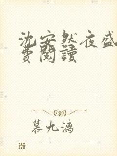 沈安然夜盛霆免费阅读