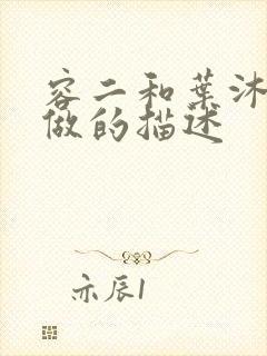 容二和叶沐走着做的描述