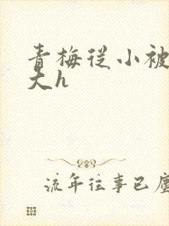 青梅从小被弄到大h