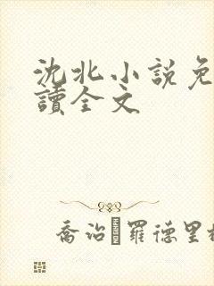 沈北小说免费阅读全文