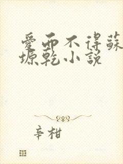 爱而不得苏路顾塬乾小说