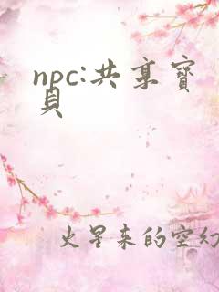 npc:共享宝贝