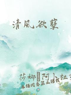 清风欲孽