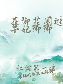 在御花园进入太子妃卿卿