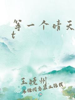 等一个晴天txt