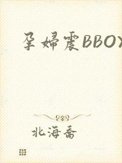 孕妇震BBOX