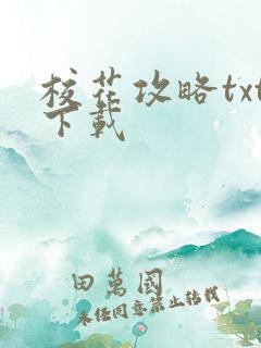 校花攻略txt下载