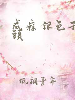 成瘾 银色子弹头