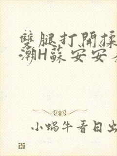 双腿打开揉弄高潮H苏安安秦慕深