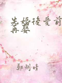 先婚后爱前妻难再娶