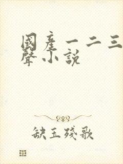 国产一二三区有声小说