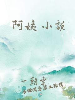 阿姨 小说