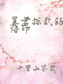 暴君总裁的狂烈烙印