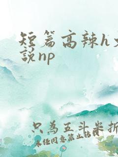 短篇高辣h文小说np