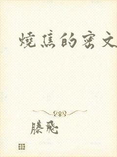 烧焦的密文