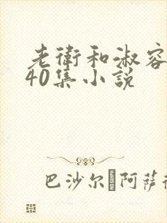 老卫和淑容1-40集小说