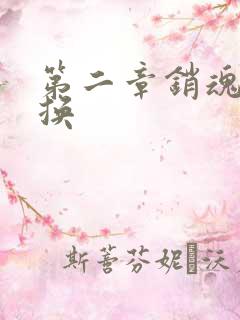 第二章销魂的交换