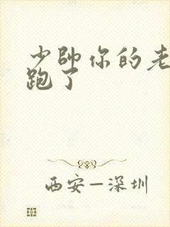 少帅你的老婆又跑了