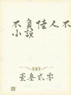 不负佳人不负卿小说