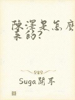 陈泽是怎么火起来的?