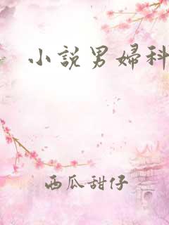 小说男妇科医生