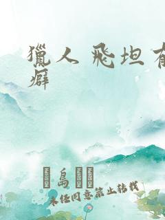 猎人 飞坦有洁癖